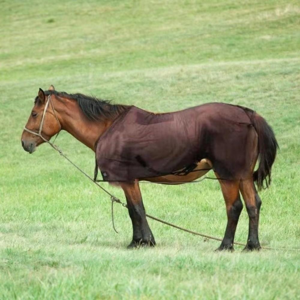 Adjustable Horse Fly Sheet Wear-Resistant Equine Mesh Vest Horse Belly Protect Cover Horse Riding