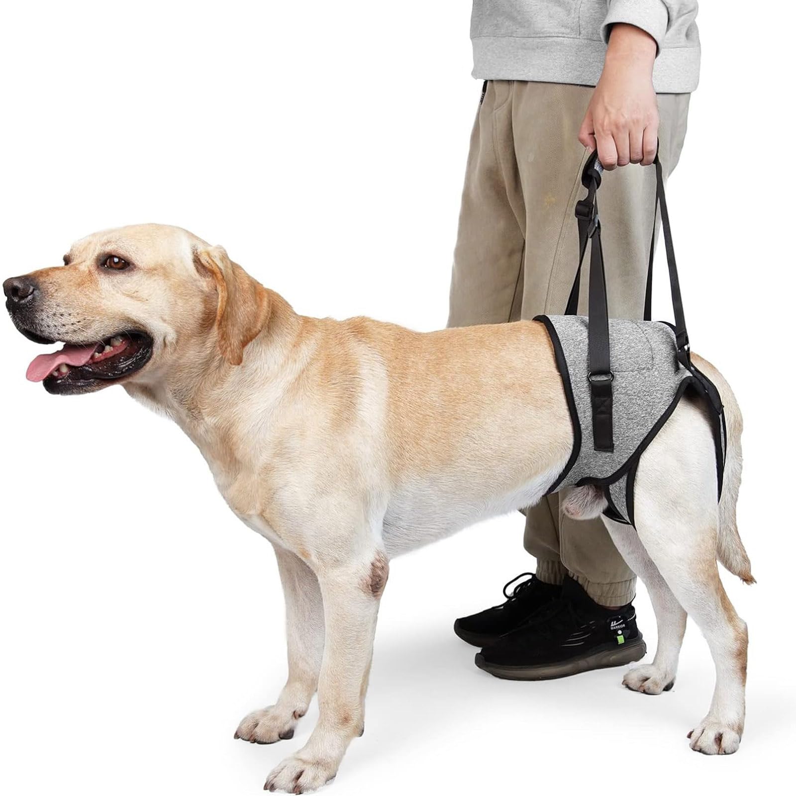 

Refoiner Dog Dog Walking Assistance Hind Leg Dog Care Less Burden on Dog Hind Leg Support Dog Small Medium Large Cat Dog Care Pet Supplies Harness,