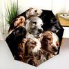 Black Puppy pattern, automatic folding umbrella, portable and foldable design, 8 ribs, a Christmas or birthday gift.