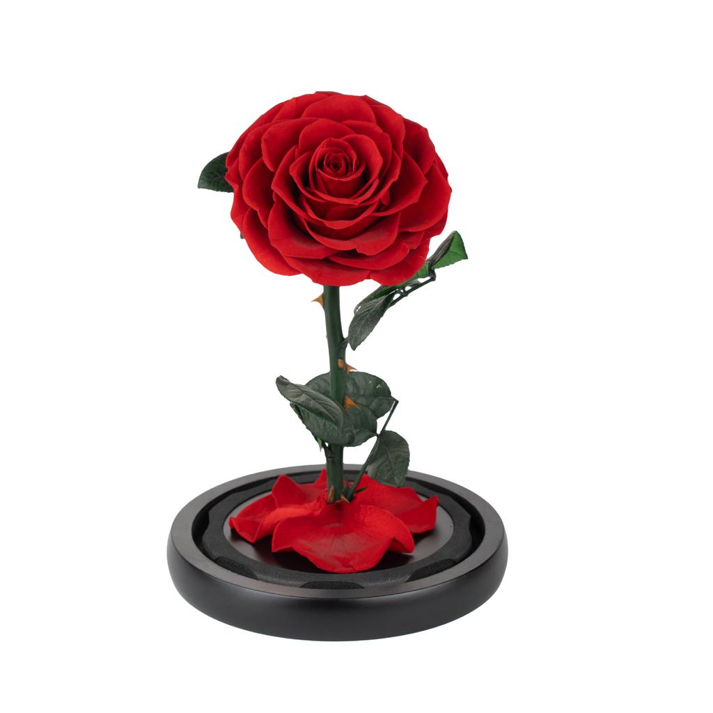 Eternal Flower Glass Cover Little Prince Rose Valentine's Day Gift Premium Finished Gift Box