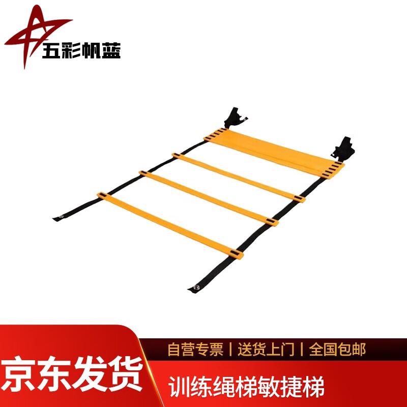 

Basketball Agility Training Ladder