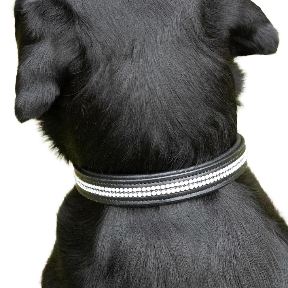 Benji & Flo Diamante Dog Collar