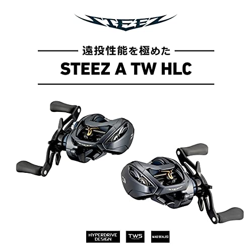 Daiwa 21 Steez A TW HLC 7.1L