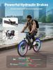 Bicicleta Eléctrica DUOTTS C29 Max 250W48V18Ah, Frenos de Disco Hidráulicos Autonomía 120km Velocidad Máxima 25km/h Bicicleta Eléctrica