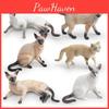 Siamese Cat Pvc Animal Model For Childrens Home Office Desk Display