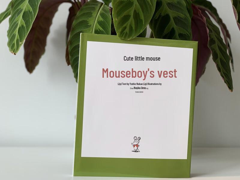 The Little Mouse's Vest (The Little Mouse Series)