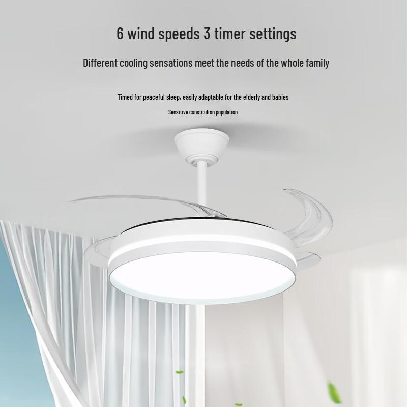OEINGLED 42-inch Modern Invisible Ceiling Fan