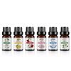 6PCS Water Soluble  therapy Essential Oil for Humidifiers 10ML