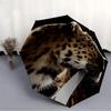 1pc Leopard Automatic Open/Close Umbrella 8-Rib Strong Frame, Portable Travel Umbrella for Women & Men, Birthday Gift Parties 026