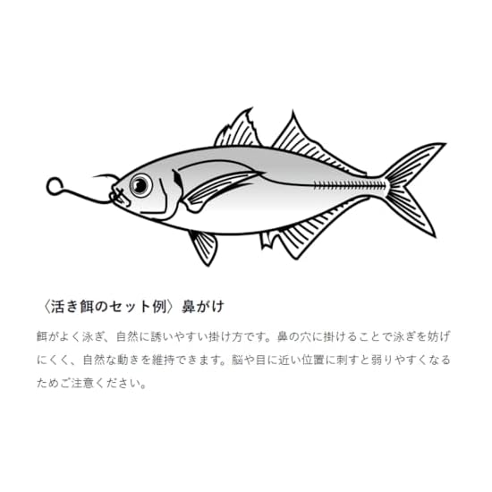 Gamakatsu Osumitsuki Aori-ika Rig, Spring-Loaded Type, Long, NSB/Green, 3L Size, 41-101