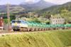Rokuhan Z gauge EF65 тип 2000 серии 2127 JR Freight обновление цвета T035-6 Железнодорожная модель Электровоз