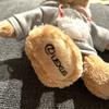 [USED] Lexus Original Mini Teddy Bear (Sweatshirt)