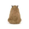 Capybara Plush, Stuffed Animal Toy, Gifts for Kids, 40cm