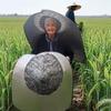 Heat Insulation Sun Hats Wide Brim Extra Large Agricultural Work Hat Rain Resistant Cloak thi Sun Visor Cap