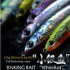 65mm 2.56in 5.4g  Custom Pencil Lure Submerged Stickbaits Pencil Lure Mini Sinking Stick Bait Hard Fishing Lure