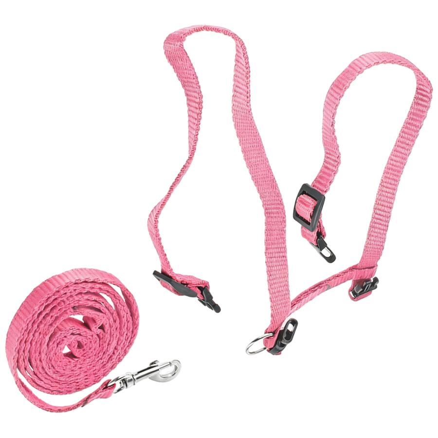 Harnais et Laisse pour Chat, Gilet H-Style Anti-Évasion avec Sangles Réglables, Harnais en Nylon pour une Promenade Sûre et Confortable