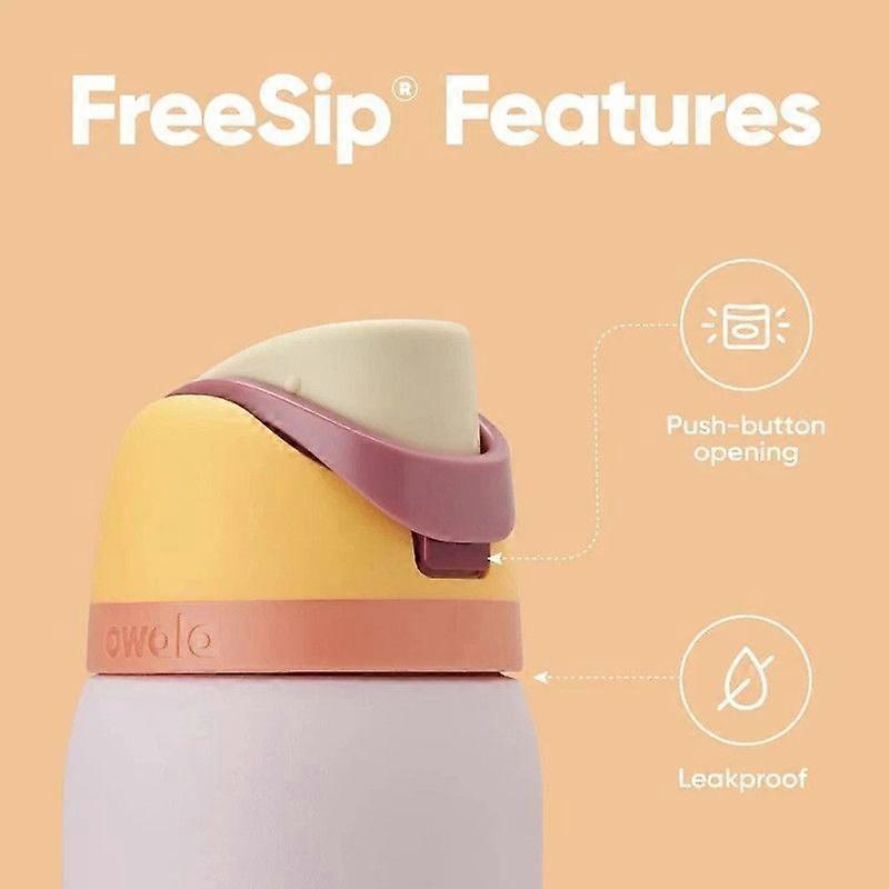 Owala Freesip 24OZ/32OZ Insulated Stainless Steel Water Bottle With Lock Lid Gift B