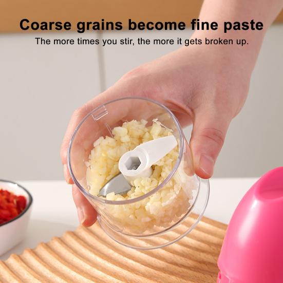 Manual Garlic Chopper Stainless Steel Blades Easy Garlic Mincer Dishwasher Safe Kitchen