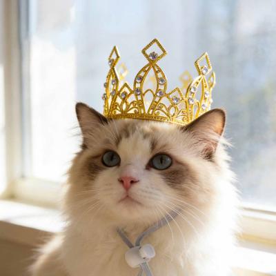 Sparkling Pet Crown Adjustable Cat Crown with Drawstring Rhinestone Tiara Crown for Cats And Small Dogs Cosplay Party Photo Prop
