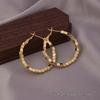 European American Style Luxury Stud Earrings: Elegant Cross-border Niche Hoops, Versatile Celebrity-inspired Accessories
