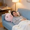 Plush Pig Toy Pillow With Flower Design For Childrens Comfort And Play