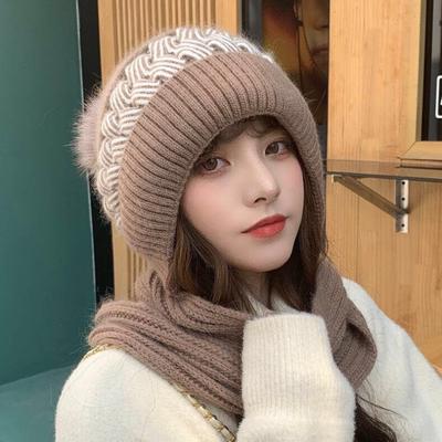 Women's Autumn Winter Casual Cute Thick Plush Warm Hat Knitted Hat Warm Hats
