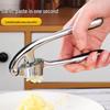 Manual Alloy Garlic Press