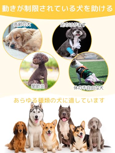 GIIPET - Dog Care Harness, Walking Aid for Senior Dogs, Injuries, Surgery, Recovery, and Illness, Easy to Put On and Take Off, Suitable for Small and