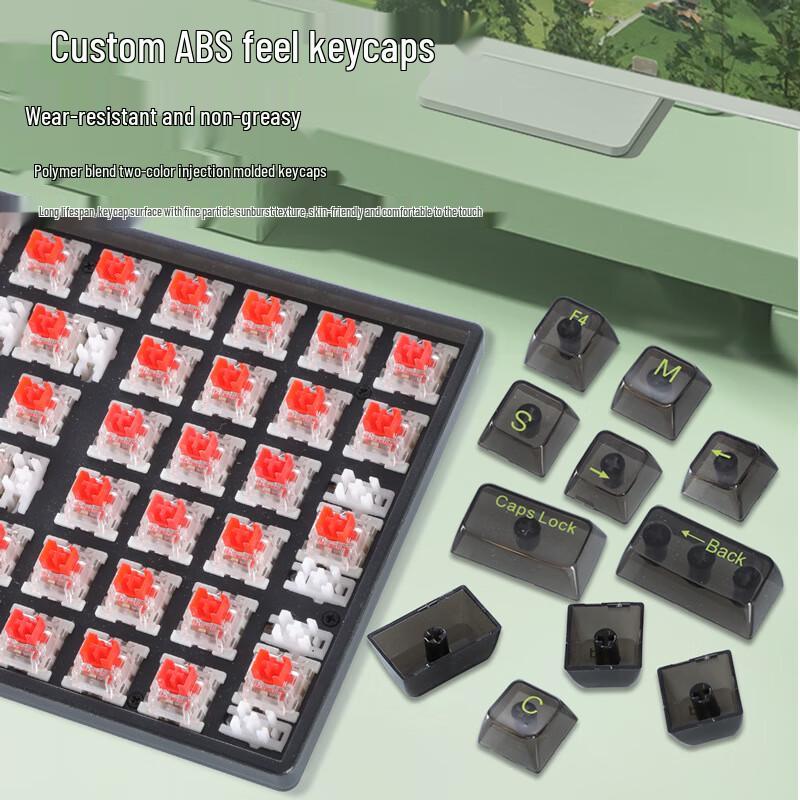 Y-FRUITFUL K10 100-Key Single Mode Wired RGB Mechanical Keyboard with Transparent Keycaps