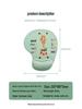 Creative Cartoon Silicone Wrist Rest Mouse Pad & Keyboard Hand Rest - Cute Desk Mat