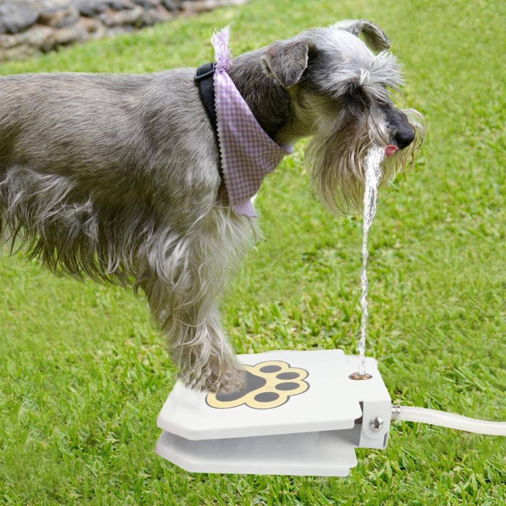 Dog Outdoor Dog Drinking Water Fountain Step On Keeps Cool In Summer