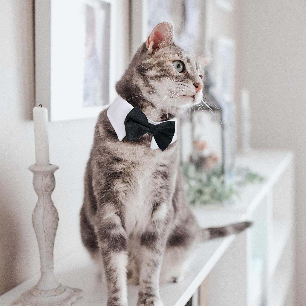 Adjustable Black White Bow Tie Collar for Small Dogs Cats Machine Washable Pet Formal Neckwear