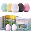 Diatomaceous Earth Odor Absorbing Egg Kitchen Air Freshener Moisture Absorption Refrigerator Deodorizing Fishy Musty Remover
