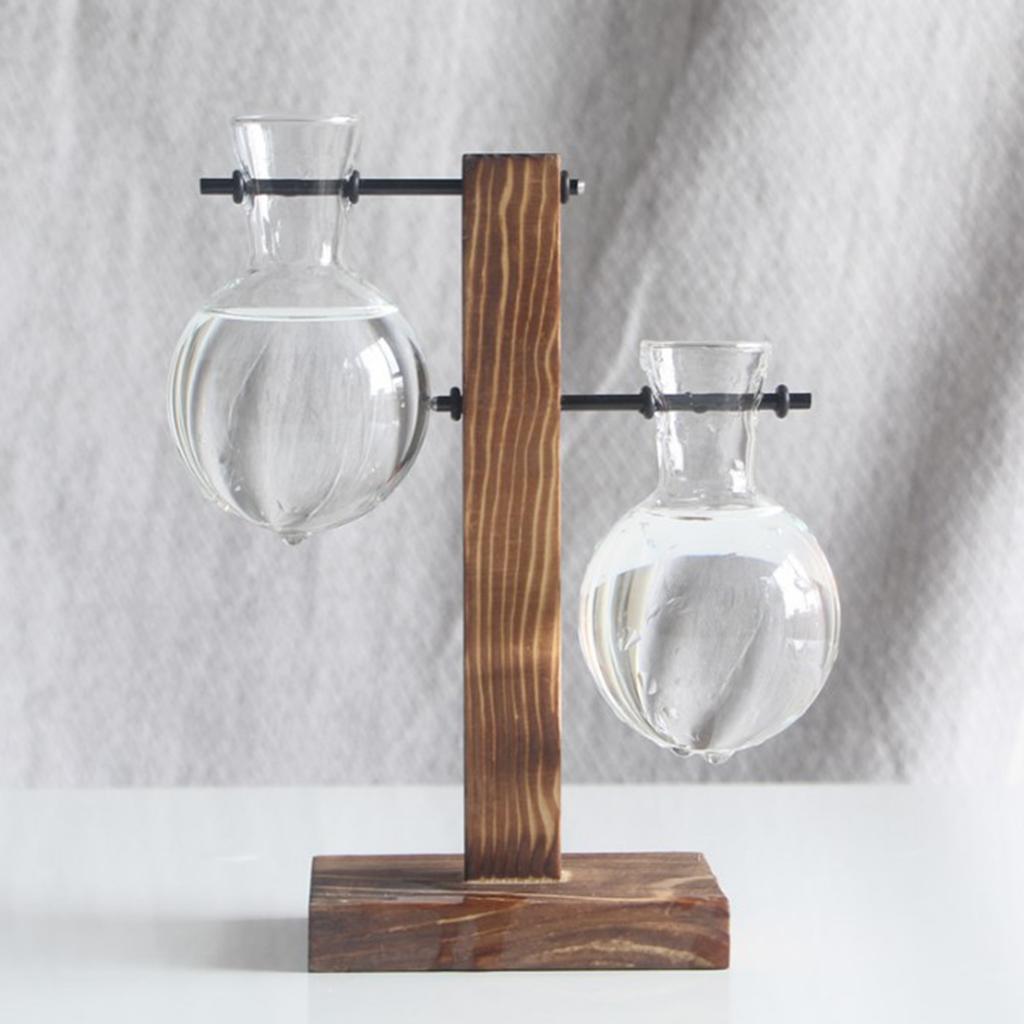 Test Tube Vase with Stand Hydroponic Flower Bud Vase Glass Terrarium Decorative Vase Plants for Home Office Decor