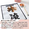 Bokuundo Ink Ink Vermilion 13003 Juice, Essence, Ink, 1.8L,