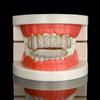 Exaggerated Trendy Hip Hop Fangs: Gold Zirconia Eight-Tooth Braces