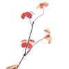 Chinese Japanese Home Decor Faux Fall Leaves Decor Artificial Fall Leaves Stems Realistic Faux Branches with Green for Home