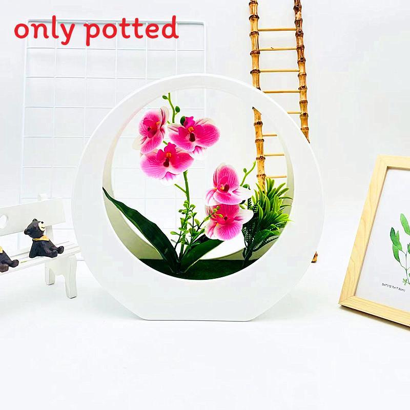 Flower Phalaenopsis Simulated Potted Moon Shaped Decorative Wall Pendant