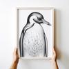 Poster Penguin Black and White