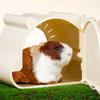 Hamstergömställe Hus Söt Hamstergömma Grotta Sovbo Liten Djurnäste Hamsterbur Tillbehör för Litet Husdjur Igelkott