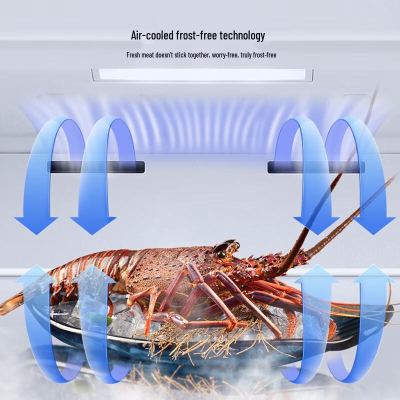 Hisense 240L Inverter Frost-Free Upright Freezer