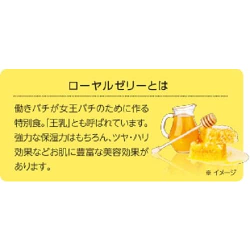 Moisture Mild White KOSE Kose Lotion L (Refreshing) Refill 160ml