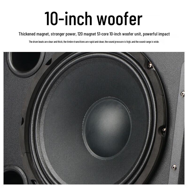 SHILE Professional Wall-Mounted 10-Inch Conference & Home Theater Speakers (CN Version)
