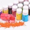 DIY Handmade Jewelry Epoxy Resin Pearlescent Color Powder with Fine Glitter Fillers