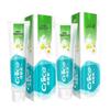 NICE Ice Chrysanthemum Fresh Breath Toothpaste Twin Pack