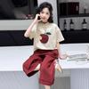 Girls Summer Short Sleeve T-Shirt Design Big Kids Trendy Cool Outfit Fashion Versatile Cute Princess Inspired Casual Top