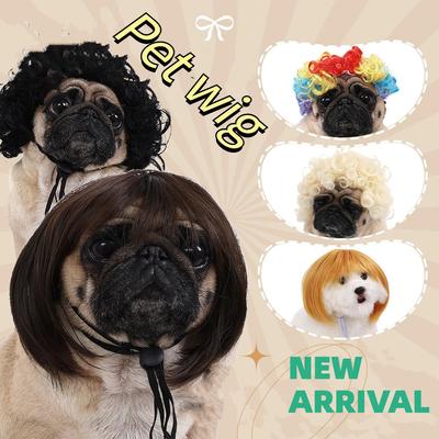Pet Wig Dog Wig Pet Supplies Halloween Pet Accessories Curly Hair Straight Hair Cat Wig Pet Wig Bobble Natural Pet Hairstyles