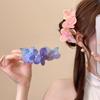 Haar-Accessoires – Haarklammern