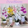 Neue Vierblumen Kleine Runde Orchidee Schreibtischpflanze Mit Künstlichen Blumen Für Heimdeko Und Bürogebrauch