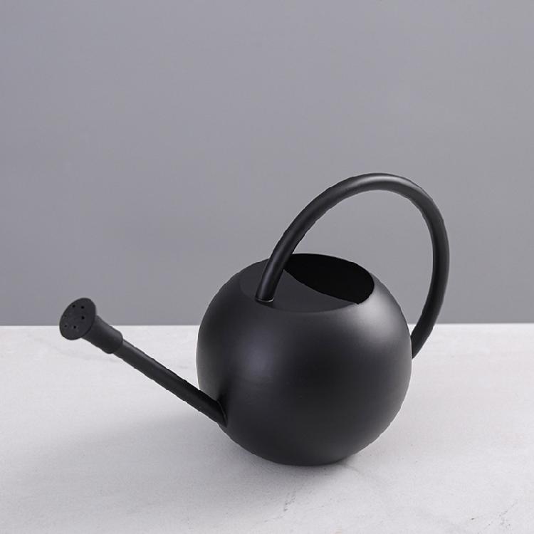 Watering Can Small Watering Can for Indoor Plant Stainless Steel Indoor Watering Can with Long Spout 35oz/400ml